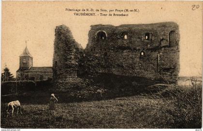 CPA VAUDEMONT - Tour de Brunehaut (483823)