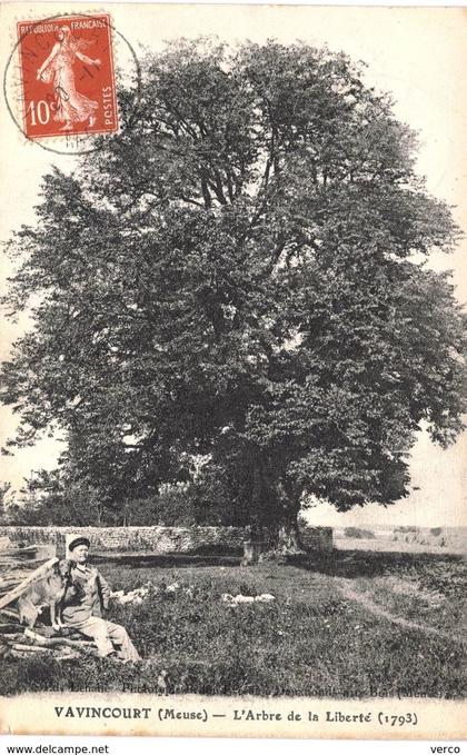 Carte POSTALE  Ancienne  de  VAVINCOURT - L'Arbre de la LIBERTE   (1793)