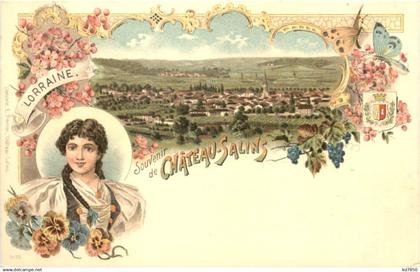 Souvenir de Chateau Salins - Litho