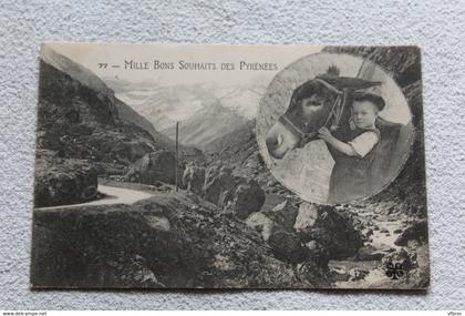 mille bons souhaits des Pyrénées, hautes Pyrénées 65