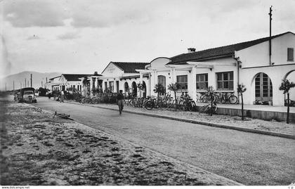 Saint Cyprien - Boulevard maritime et les Cafes Restaurants  - CPSM°J