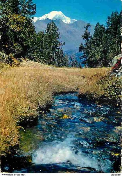 73 - Bourg St maurice - Les Arcs - Torrent à l'eau claire et limpide descendant de la Vallée de l'Arc - CPM - Voir Scans