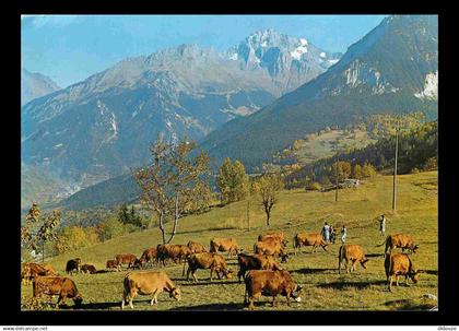 73 - Praz de Saint Bon - Le Grand Bec - La Becca Motta - Vaches - CPM - Voir Scans Recto-Verso