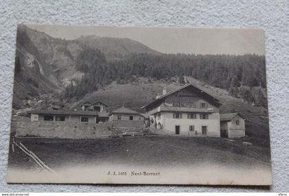 Cpa 1905, Nant Borrant, Haute Savoie 74