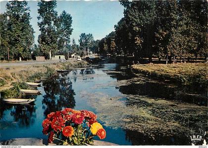 79 - Le Marais Poitevin - Venise Verte - Paysage pittoresque la Venise Verte - Fleurs - Carte Neuve - CPM - Voir Scans R