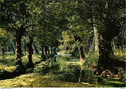 79 - Le Marais Poitevin - Venise Verte - Promenade dans la Venise Verte - Carte Neuve - CPM - Voir Scans Recto-Verso