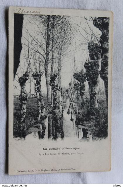 les fossés du Marais, près Luçon, Vendée 85