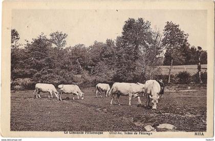 Le Limousin Pittoresque - Scène de Pâturage