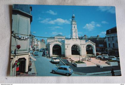 Cpm, Ancenis, les halles, Loire atlantique 44