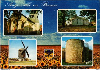 CPM Souvenir du Angerville FRANCE (1377201)