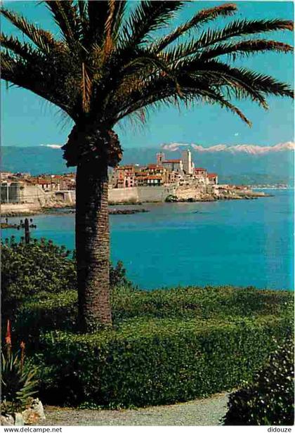 06 - Antibes - La vieille Ville - Au fond les Alpes neigeuses - CPM - Voir Scans Recto-Verso