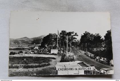 Cpsm 1958, Argeles sur mer, la route, Pyrénées Orientales 66