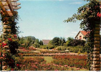 93 - Aulnay sous Bois - La Roseraie - Fleurs - CPM - Voir Scans Recto-Verso