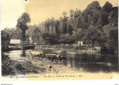 Carte Postale ancienne de AURAY