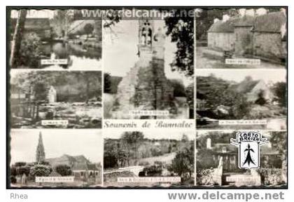 29 Bannalec - Souvenir de Bannalec - cpsm