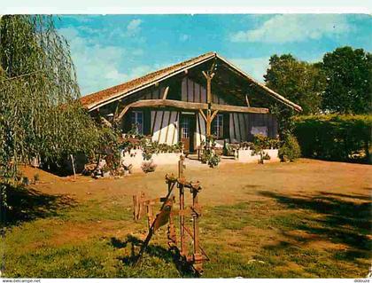 32 - Barbotan les Thermes - Ferme du Château de Bégué - Flamme Postale de Barbotan les Thermes - CPM - Voir Scans Recto-