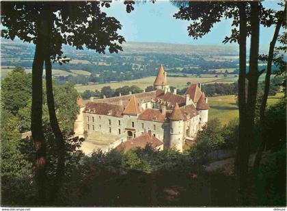 58 - Bazoches du Morvand - Le Château - CPM - Carte Neuve - Voir Scans Recto-Verso