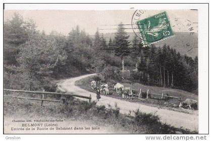 BELMONT (LOIRE) ENTREE DE LA ROUTE DANS LES BOIS  (FEMME ET TROUPEAU DE VACHES)  1912