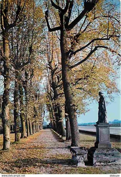 94 - Boissy Saint Léger - En Foret de Boissy - Poésis d'Automne - CPM - Voir Scans Recto-Verso