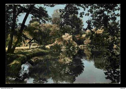 94 - Boissy Saint Léger - Parc du Château du Piple - Etat léger pli visible - CPM - Voir Scans Recto-Verso