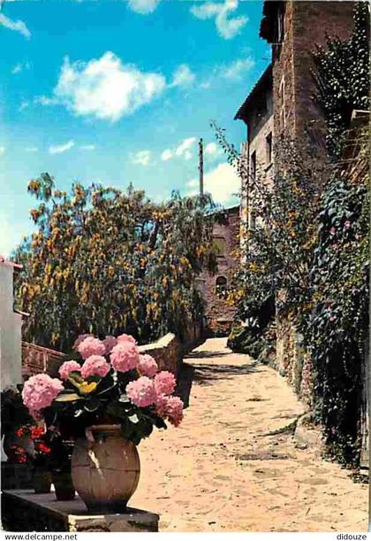 83 - Bormes les Mimosas - Rue fleurie - Fleurs - CPM - Voir Scans Recto-Verso