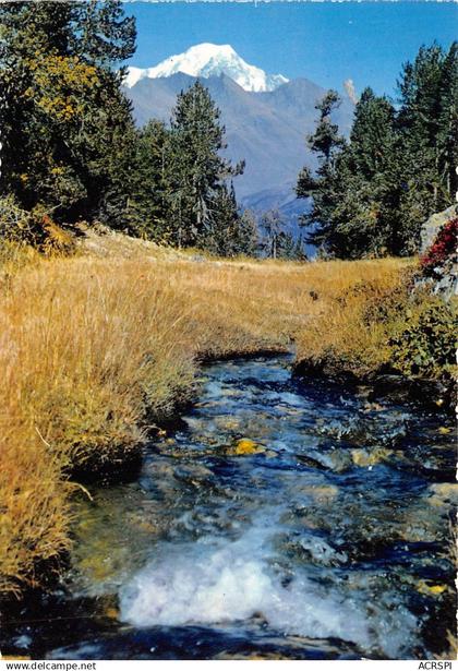 BOURG ST MAURICE Les Arcs Torrent a l eau claire et limpide descendant de la vallee de l arc 20(scan recto-verso) MA696