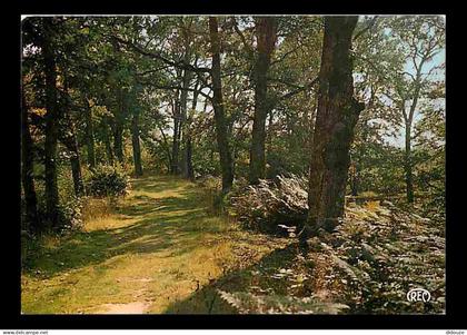 18 - Bourges - Promenade aux environs de Bourges - CPM - Voir Scans Recto-Verso