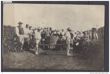 21 - Vendanges en Bourgogne