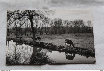 Cpsm, Brétigny sur Orge, les bords de l'Orge, Essonne 91