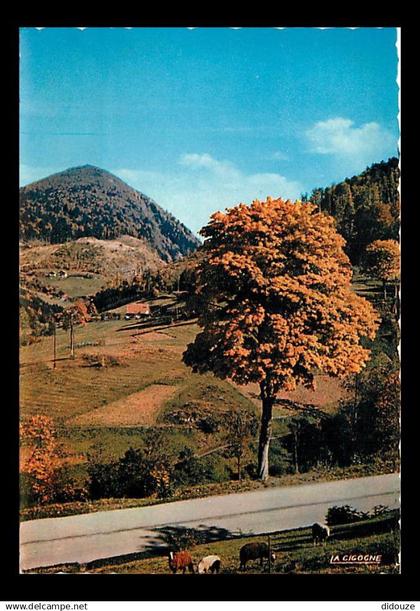 88 - Bussang - Pâturages au Col de Bussang - Moutons - Carte Neuve - CPM - Voir Scans Recto-Verso