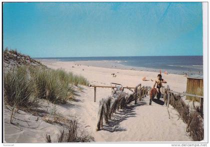 carcans...animée...plage...