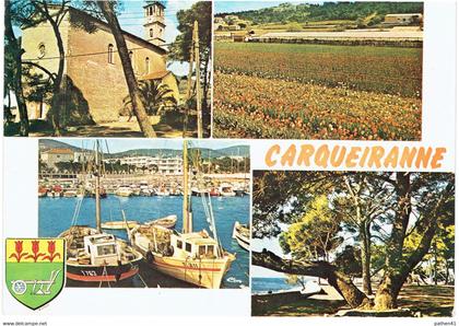 CPM FRANCE 83 VAR CARQUEIRANNE - Multivues 1989