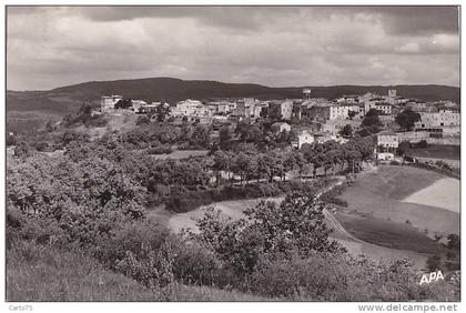 Castelnau de Montmirail 81 -  Panorama