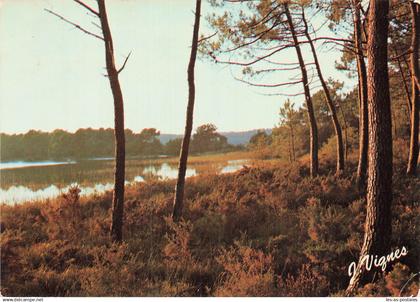 40 CASTETS ETANG LANDAIS