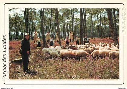 40 CASTETS VISAGE DES LANDES