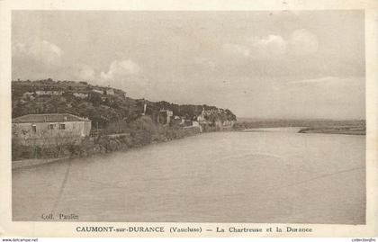 CPA FRANCE 84 " Caumont sur Durance, La Chartreuse et la Durance"