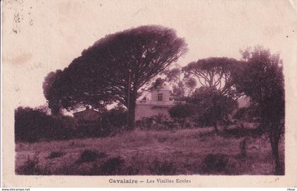 CAVALAIRE SUR MER(ARBRE)