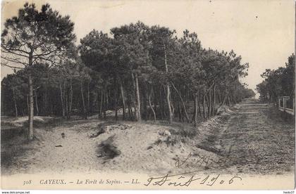 Cayeux-sur-Mer - La Forêt de Sapins