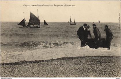 CPA CAYEUX-sur-MER Barques de Peche en mer (807916)