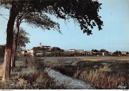 CHAILLE-les-MARAIS - Paysage typique