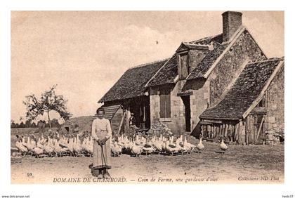 Chambord - Coin de Ferme - Une Gardeuse d'oies