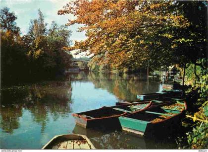 94 - Champigny sur Marne - Les Bords de la Marne - CPM - Voir Scans Recto-Verso