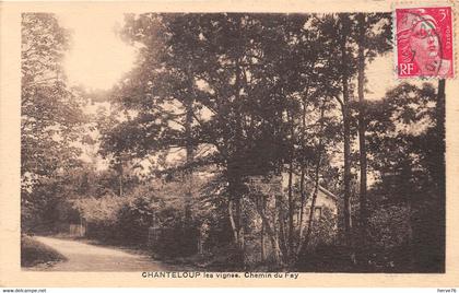 CHANTELOUP LES VIGNES - Chemin du Fay