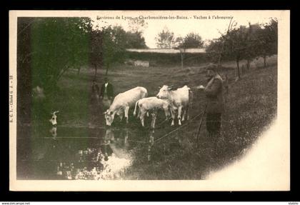 69 - CHARBONNIERE-LES-BAINS - VACHES A L'ABREUVOIR