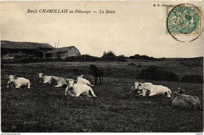 CPA Charolles La Sieste FRANCE (952737)