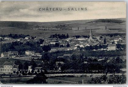 51484212 - Chateau-Salins