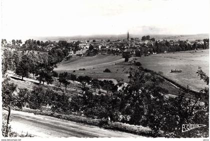 Carte postale ancienne de  CHÂTEAU  SALINS