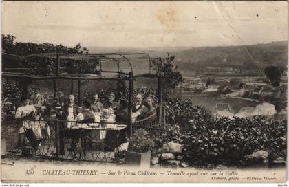 CPA Chateau Thierry Sur la Vieux Chateau FRANCE (1051798)