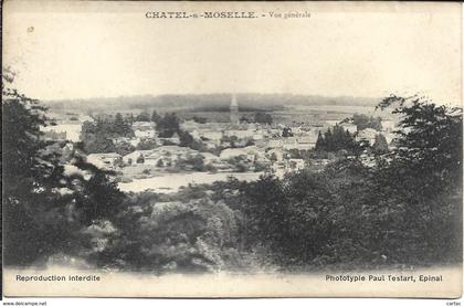 D88 - CHATEL SUR MOSELLE - VUE GENERALE