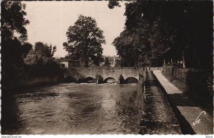 CPA CHATILLON-sur-SEINE La Seine au Piont des Gfilles (121589)